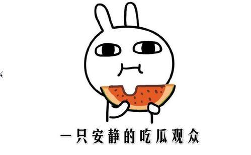 最新吃瓜视频黑料,吃瓜视频最新黑料，真相令人震惊！